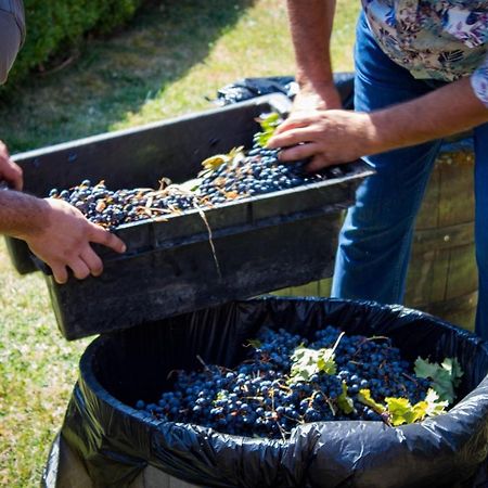 Todoroff Wine Residence Brestovica  Εξωτερικό φωτογραφία