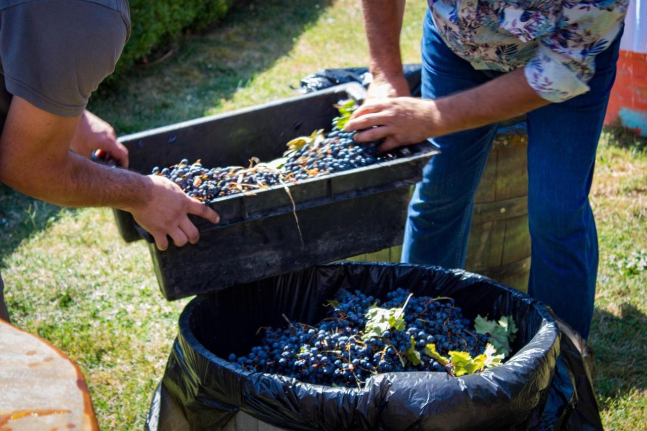 Todoroff Wine Residence Brestovica  Εξωτερικό φωτογραφία